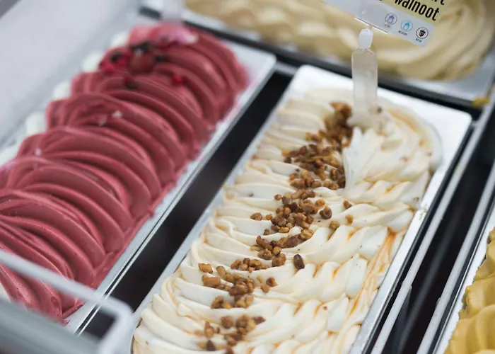 Teleport - Free Parking Hotel Den Haag