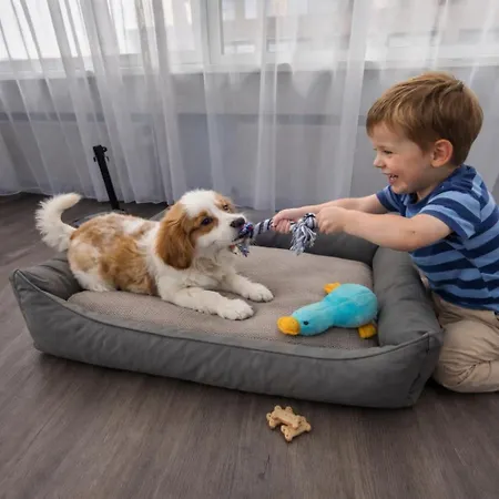 Teleport - Free Parking Hotell