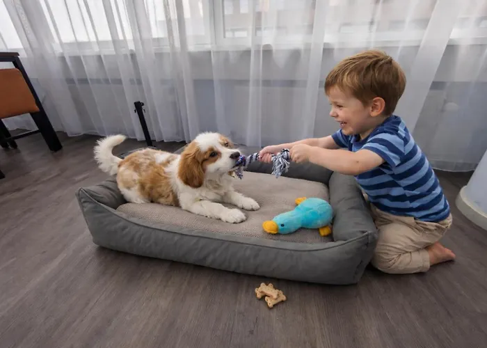 Teleport - Free Parking Hotell